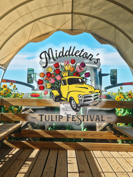 Tulip Festival Season Pass