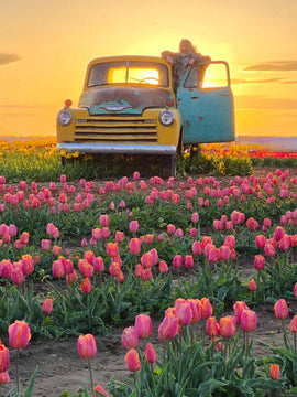 Middleton's All Season Passes 2026