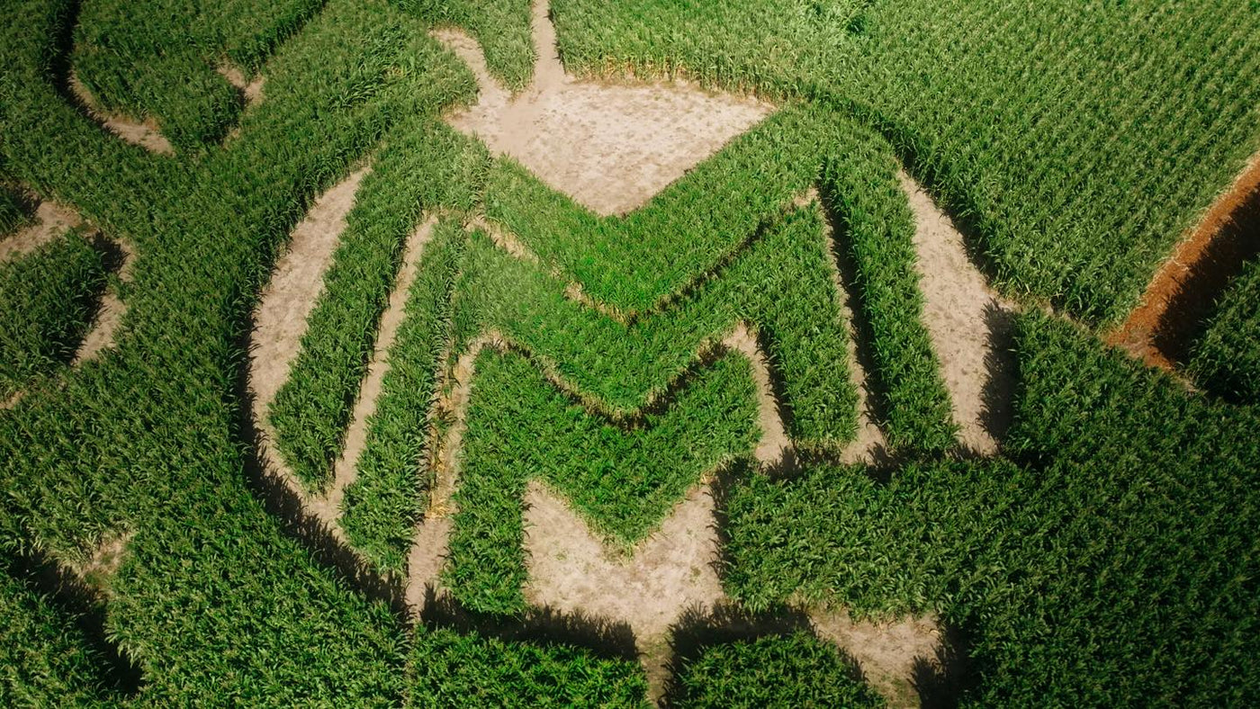 Middleton's All Season Passes 2026