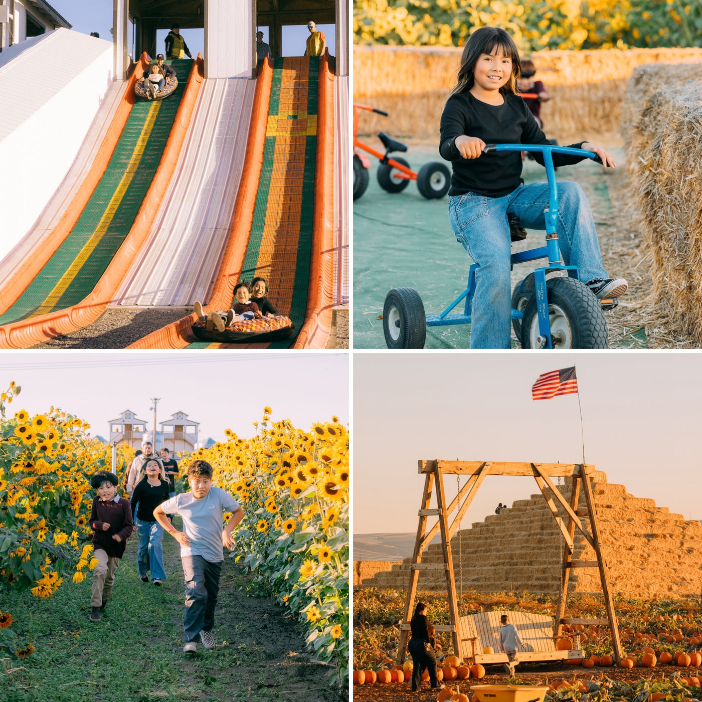 Middleton's All Season Passes 2026