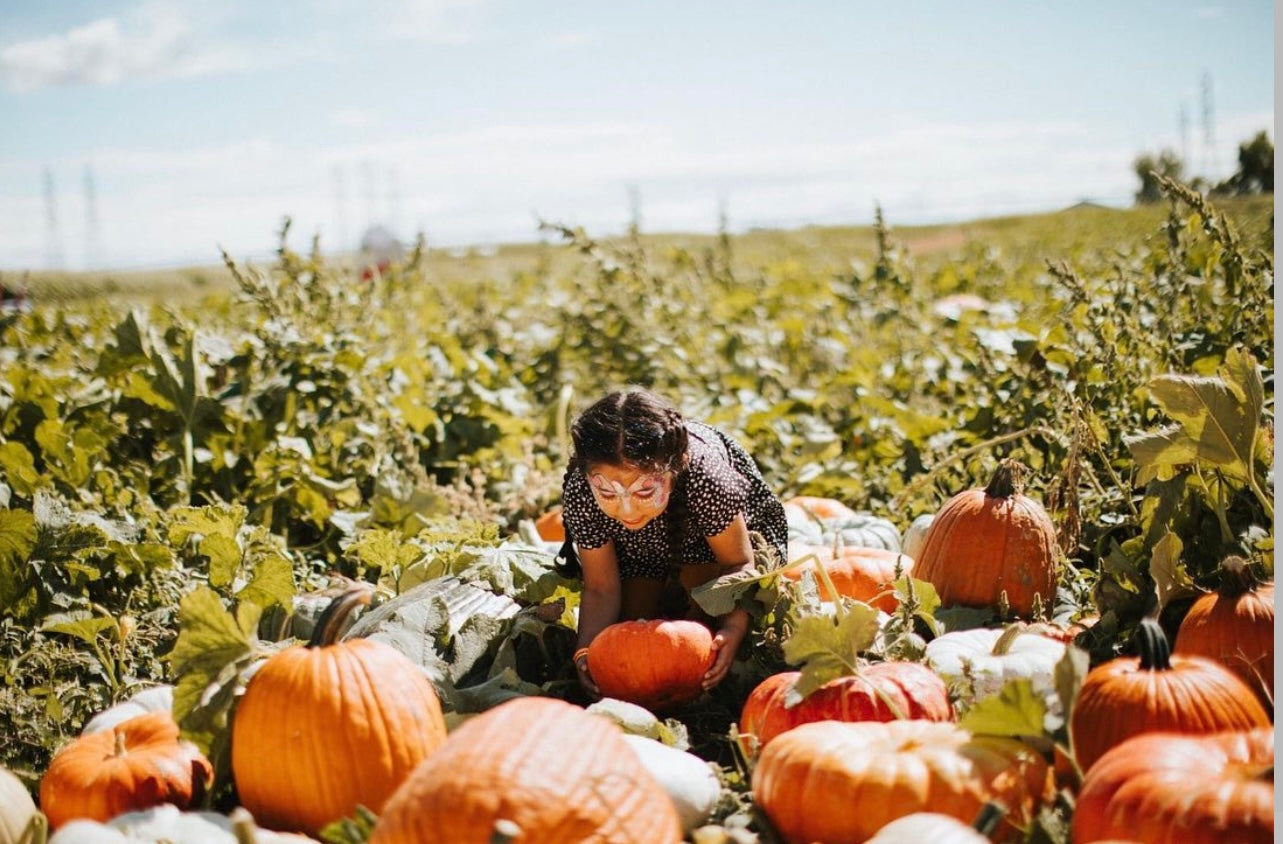 Middleton's 2023 Fall Festival
